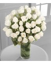 Clarity Luxury Rose Bouquet - 48 Stems